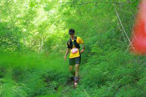 BIB: 
                            <button type="button" onclick="openModal(22097380)" class="btn btn-primary btn-sm float-right btn-popup" data-toggle="modal" data-target=".modal-high-quality">
                        <i class="fas fa-shopping-cart"></i> Add to Cart
                    </button>
                                            <button type="button" onclick="isThisMe(22097380, true)" class="btn btn-success btn-sm float-right btn-popup btn-isme hidden" data-toggle="tooltip" data-placement="bottom" title="นี่คือรูปของคุณใช่ไหม คลิกที่นี่เพื่อเอาเข้าอัลบั้ม">
                        <i class="fas fa-plus"></i> Add to album
                    </button>
                    <button type="button" onclick="isThisMe(22097380, false)" class="btn btn-warning btn-sm float-right btn-popup btn-isnotme hidden">
                        <i class="fas fa-ban"></i> Remove from album
                    </button>